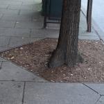 OTRA_2017_CN_0204 (August 30, 2017)